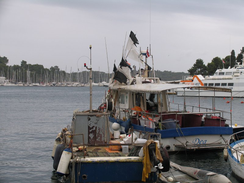 2012-09-13 13-10-03 Ludo.JPG